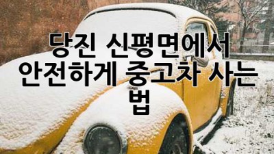 당진 신평면에서 안전하게 중고차 사는 법