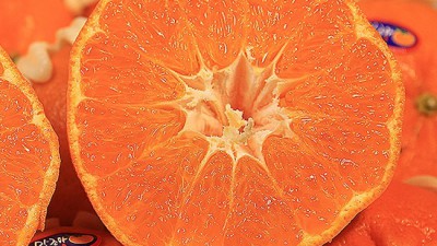 놓치면 후회! ✨ 타이백제주황금향 초특가 후기🍊