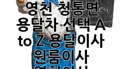 원룸이사 꿀팁🍯 영천 청통면 용달차 선택 A to Z #용달이사 #원룸이사 #영천이사